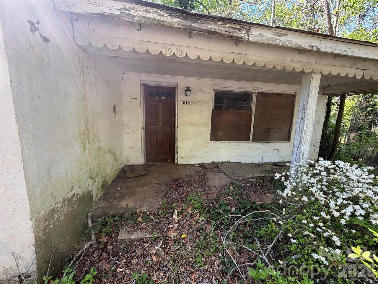 1019 Frederick Street - Photo 1