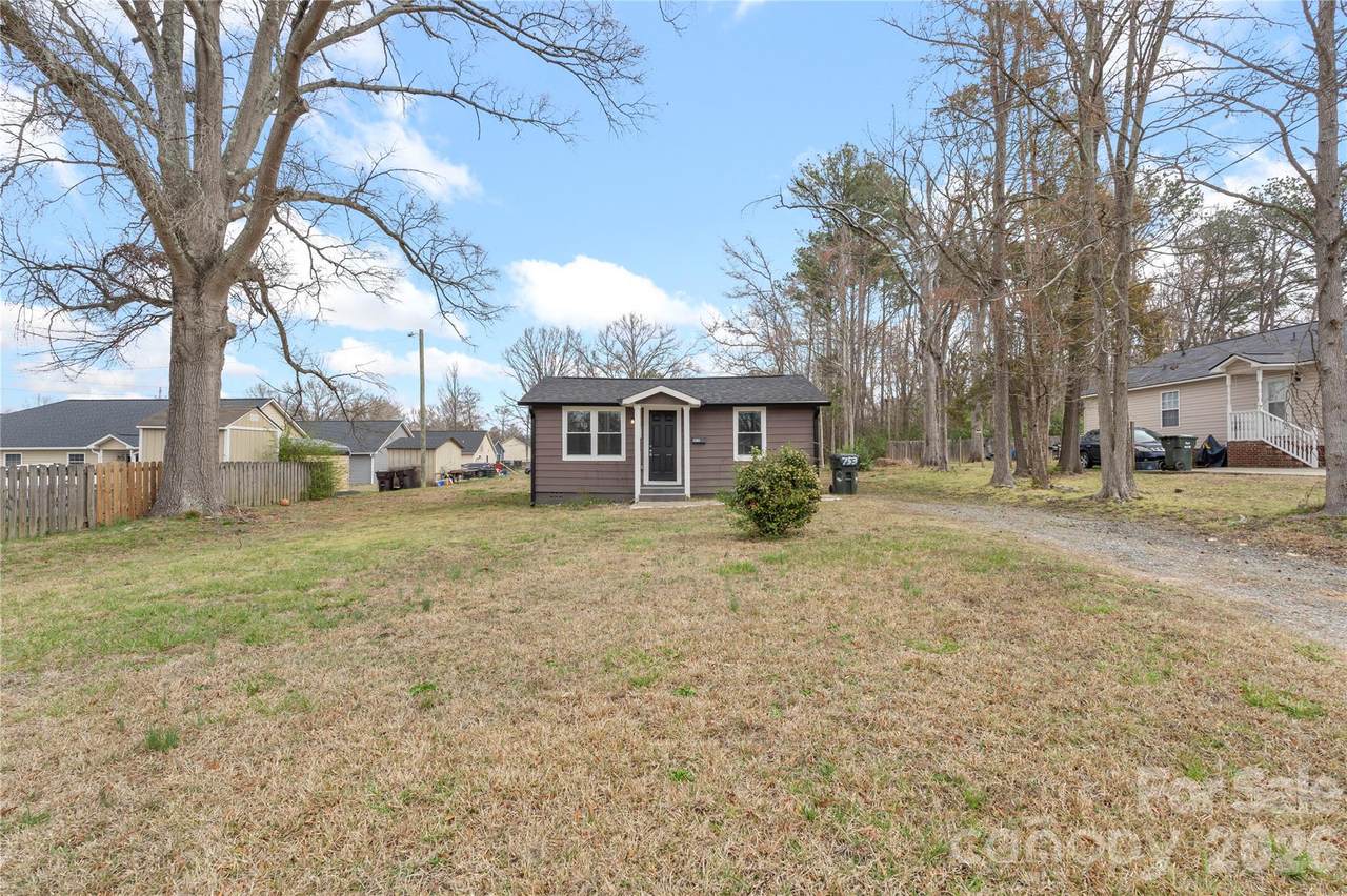 419 Lige Street - Photo 1