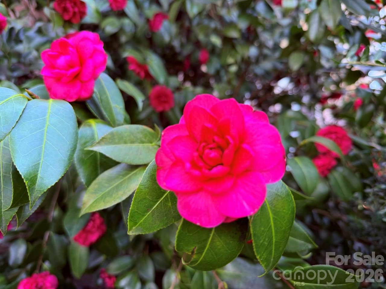 https://bt-photos.global.ssl.fastly.net/cmls/orig_boomver_1_4354682-1.jpg