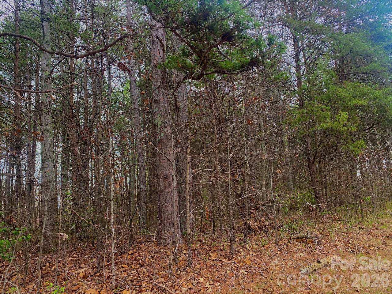 https://bt-photos.global.ssl.fastly.net/cmls/1280_boomver_1_4357890-1.jpg