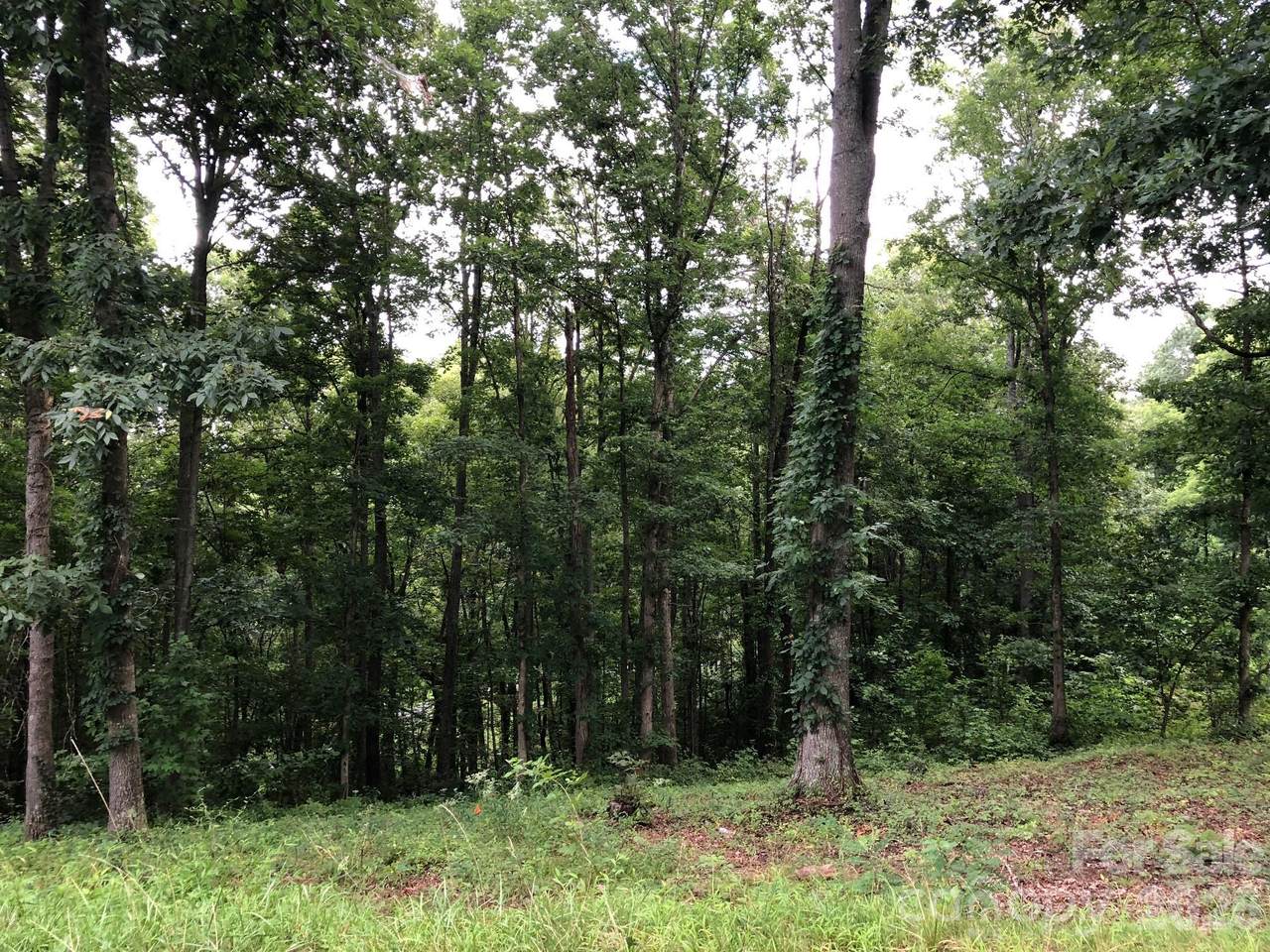 45 Sweet Fern Parkway - Photo 1