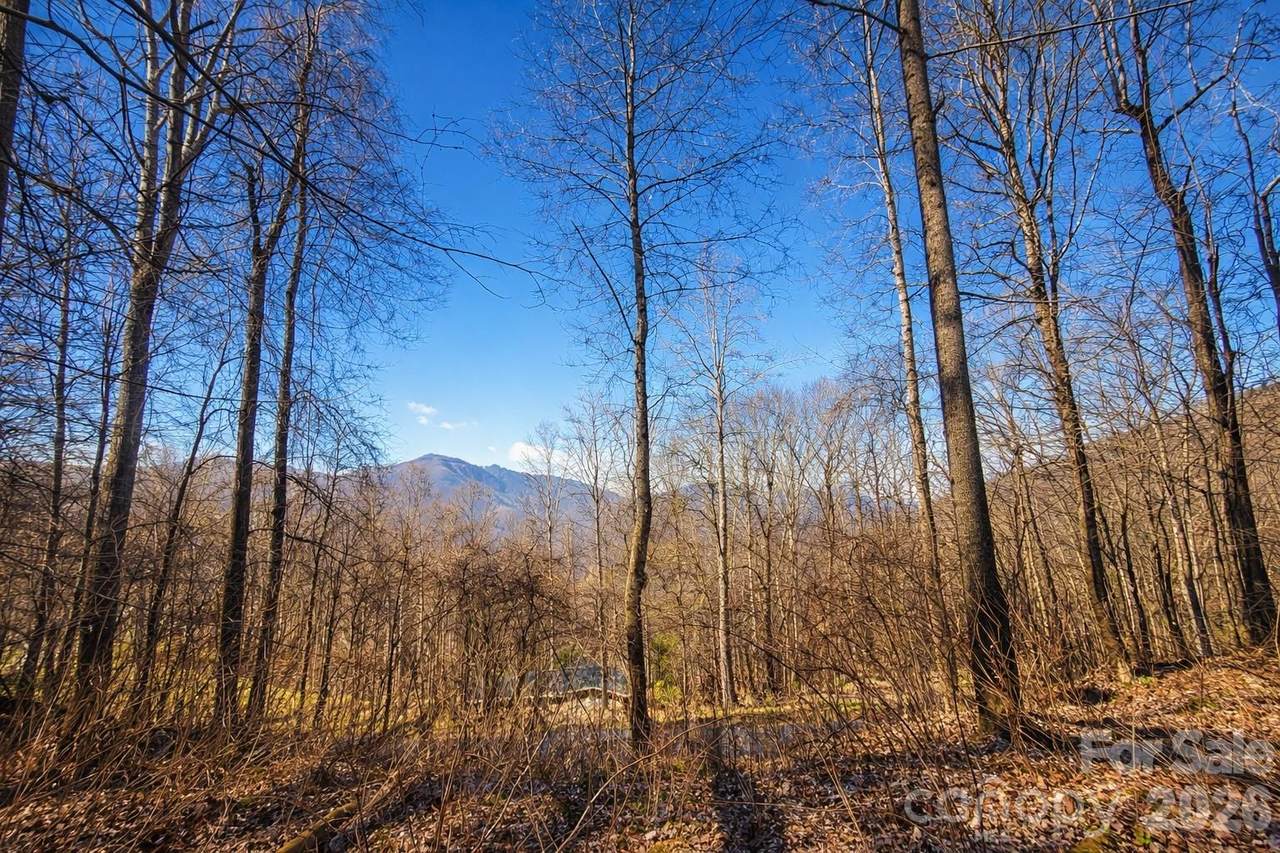 4 Buckeye Road - Photo 1