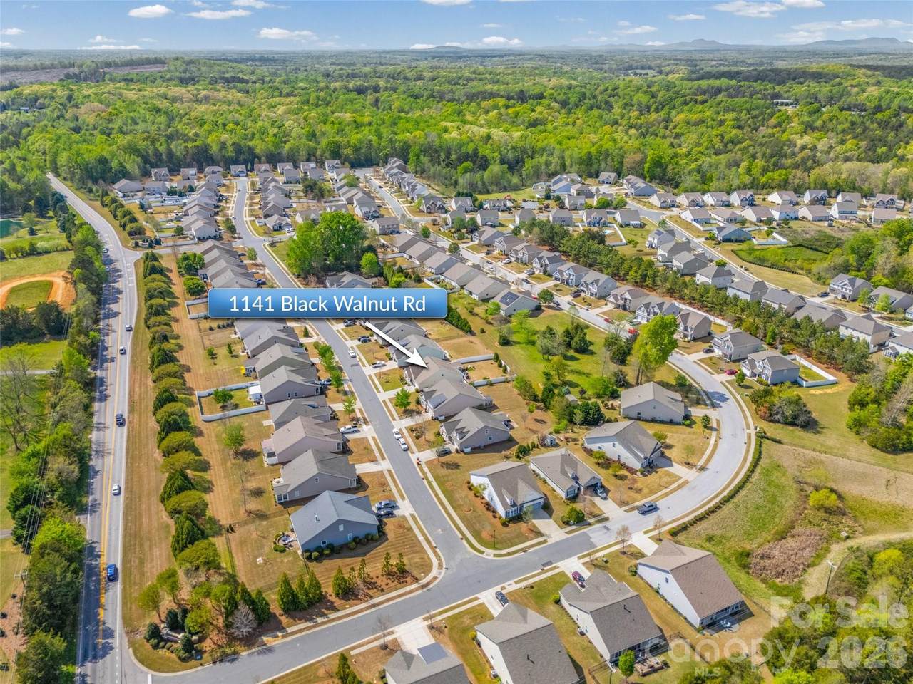 1141 Black Walnut Road - Photo 1
