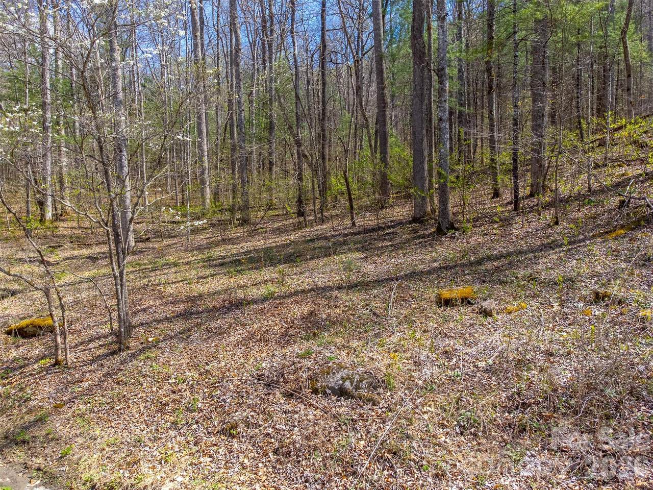 306 Cedar Creek Farm Road - Photo 1