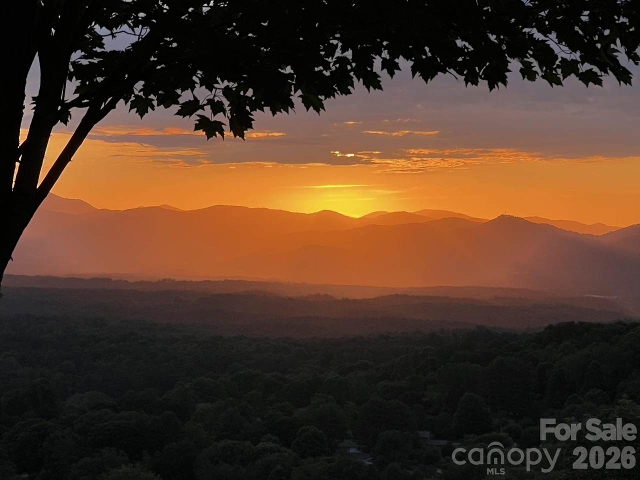 https://bt-photos.global.ssl.fastly.net/cmls/1280_boomver_2_4368722-1.jpg