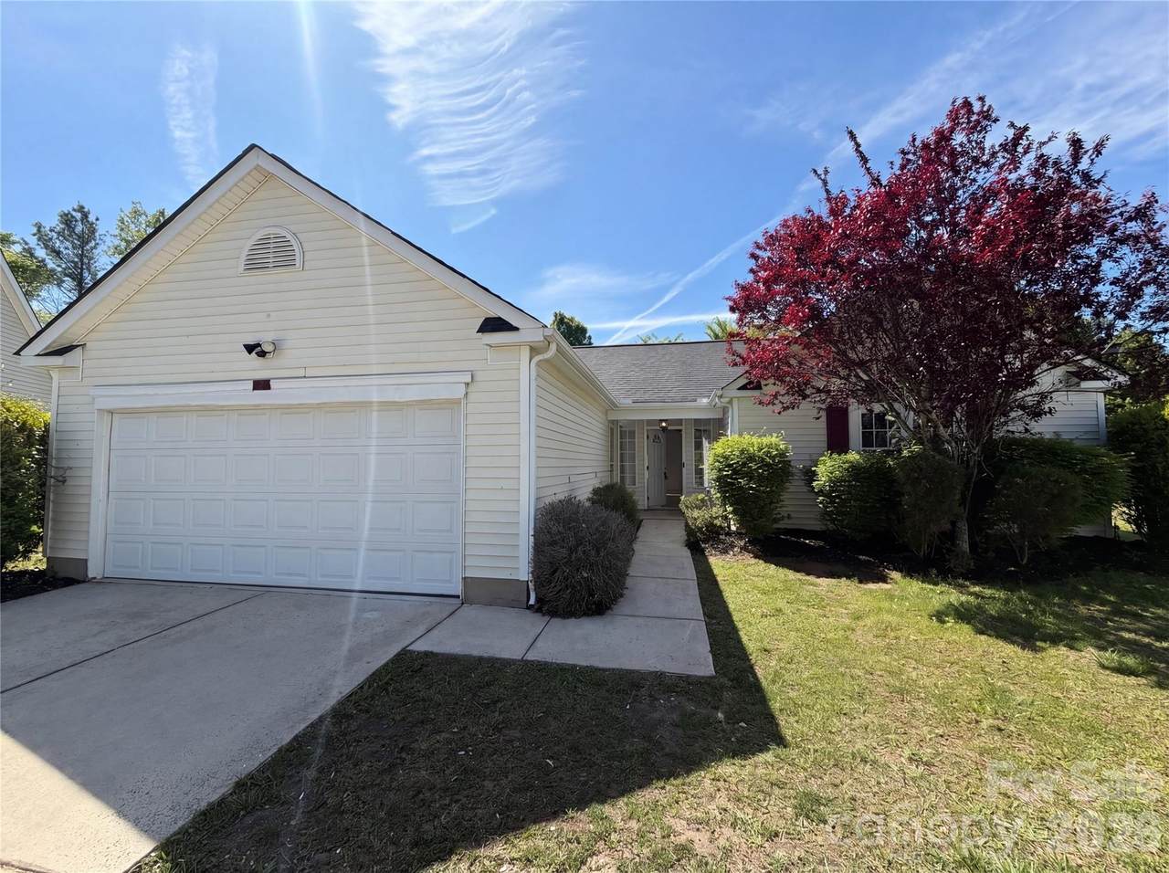 2405 Celosia Drive - Photo 1