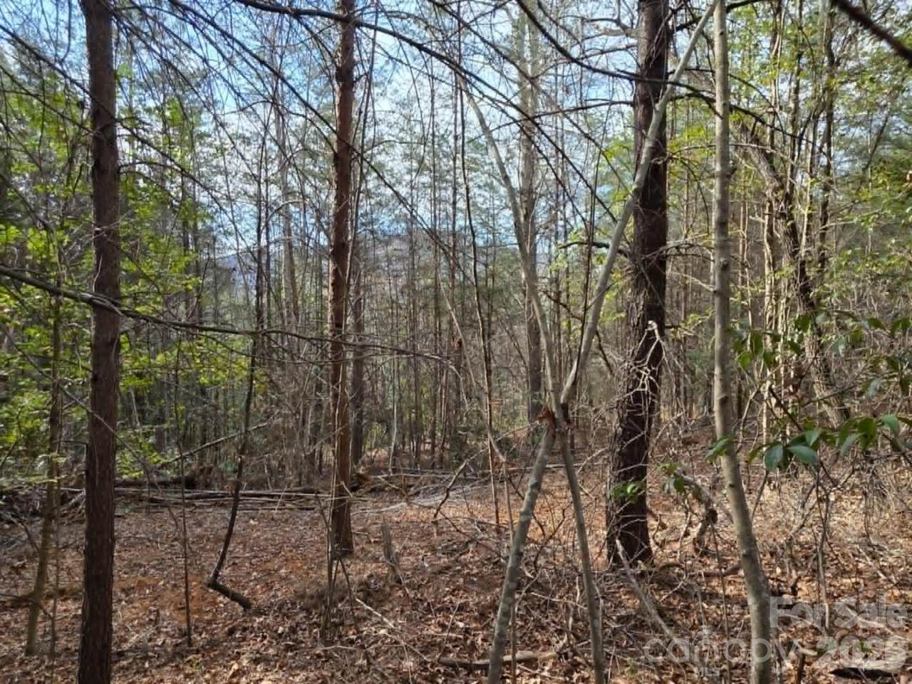 Lot 6 Kerlee Lane - Photo 1