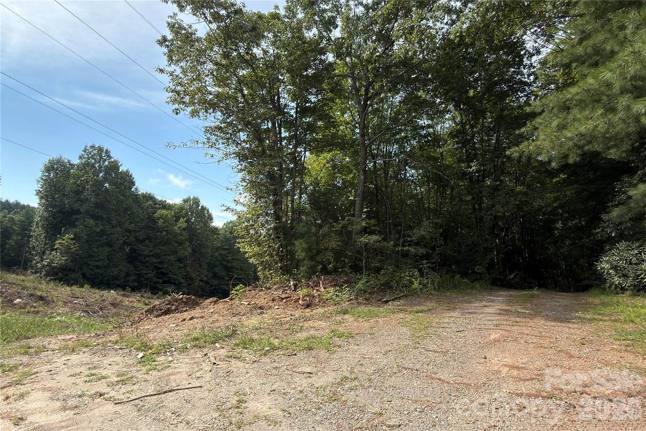 1730 Fox Hollow Road - Photo 1