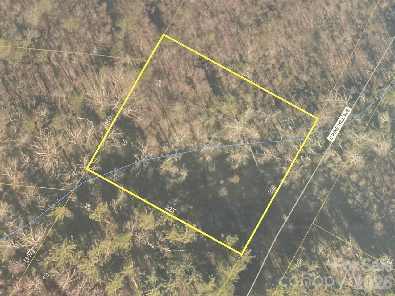 0 Pine Hill Avenue - Photo 1