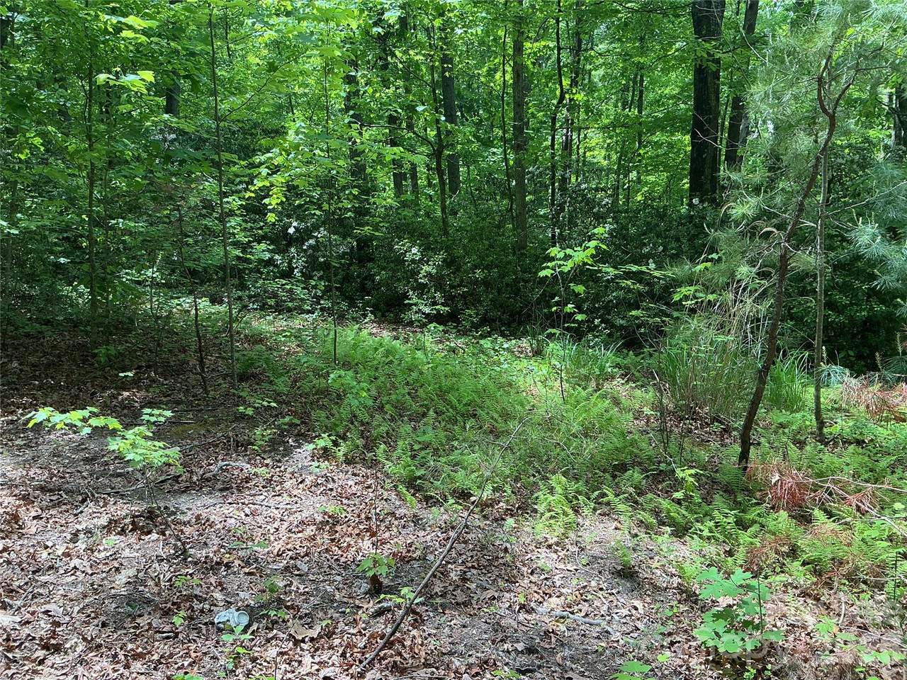 00 Green River Cove Road - Photo 1