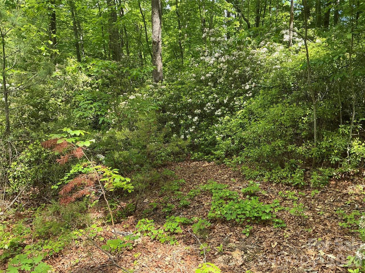 https://bt-photos.global.ssl.fastly.net/cmls/1280_boomver_1_4374097-1.jpg