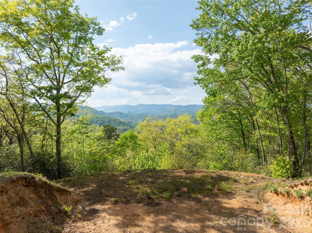Lot 1 Breedlove Road - Photo 1