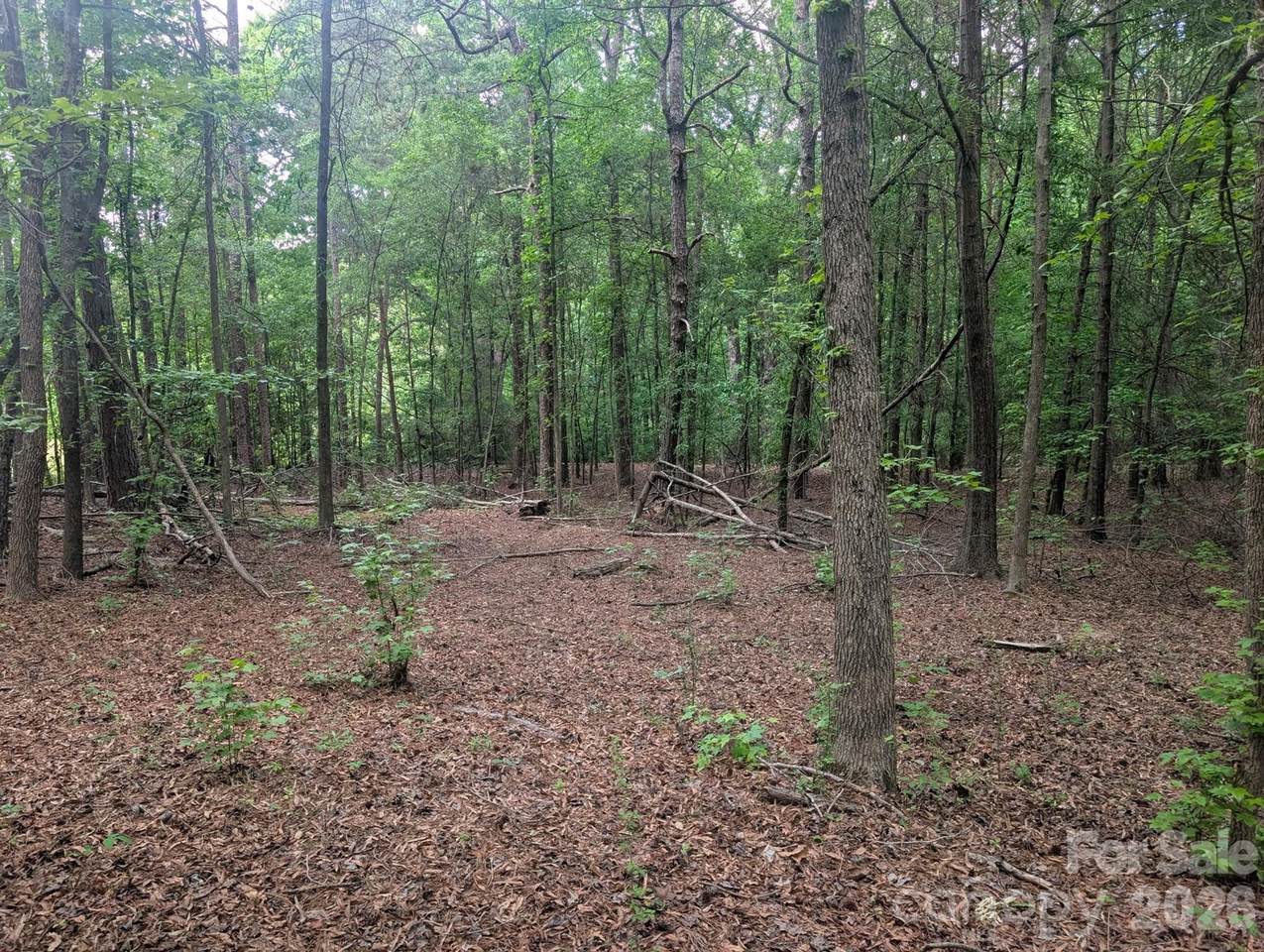 https://bt-photos.global.ssl.fastly.net/cmls/1280_boomver_1_4376715-1.jpg