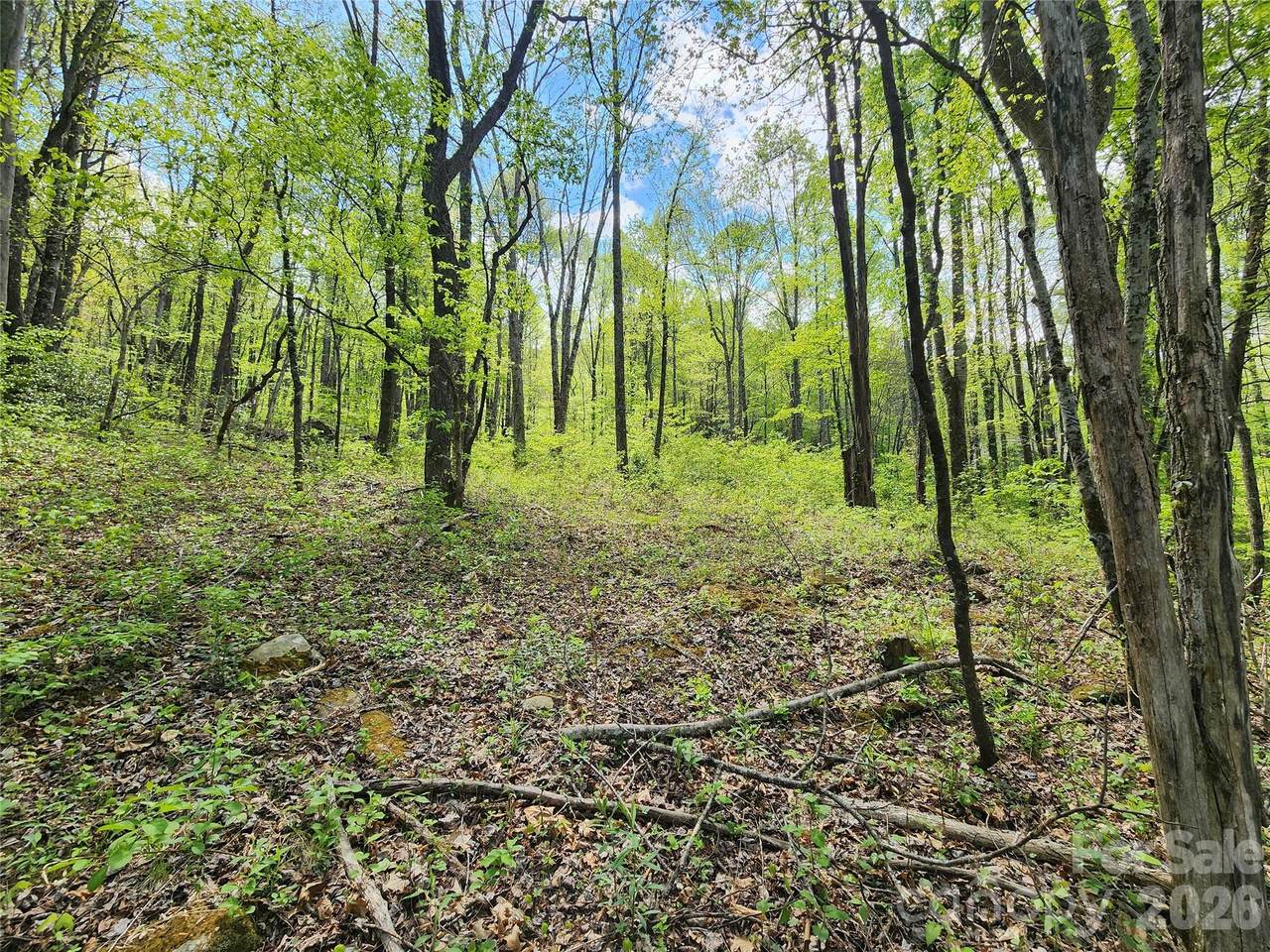 165 Wagon Wheel Way - Photo 1