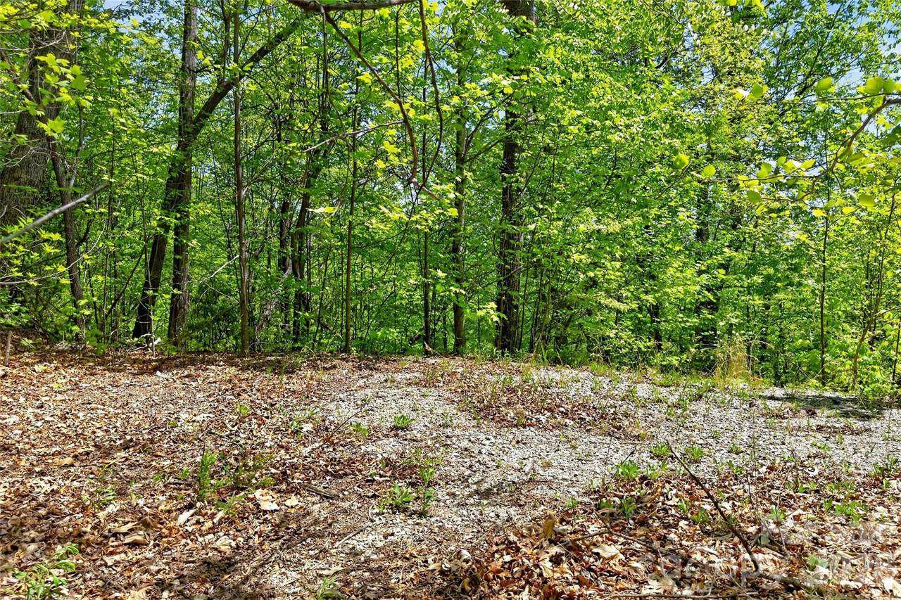 0 Bobcat Drive - Photo 1