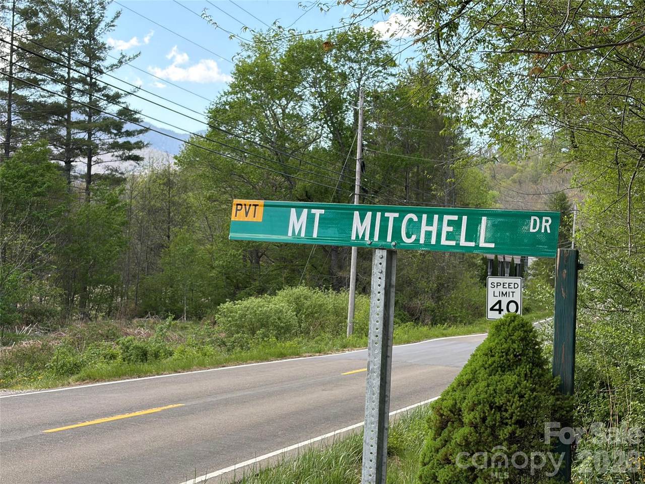 000 Mt. Mitchell Drive - Photo 1