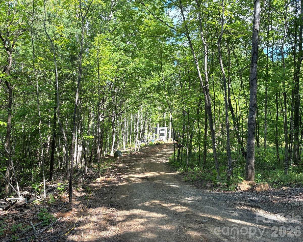 108 High Top Mountain Road - Photo 1