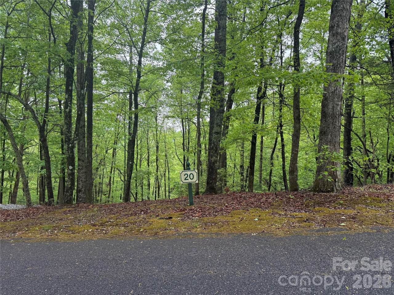 39 Black Bear Ridge Trail - Photo 1