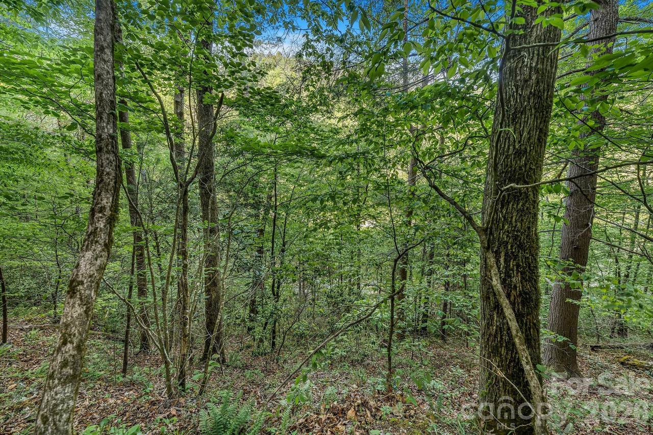 https://bt-photos.global.ssl.fastly.net/cmls/1280_boomver_1_4378031-1.jpg