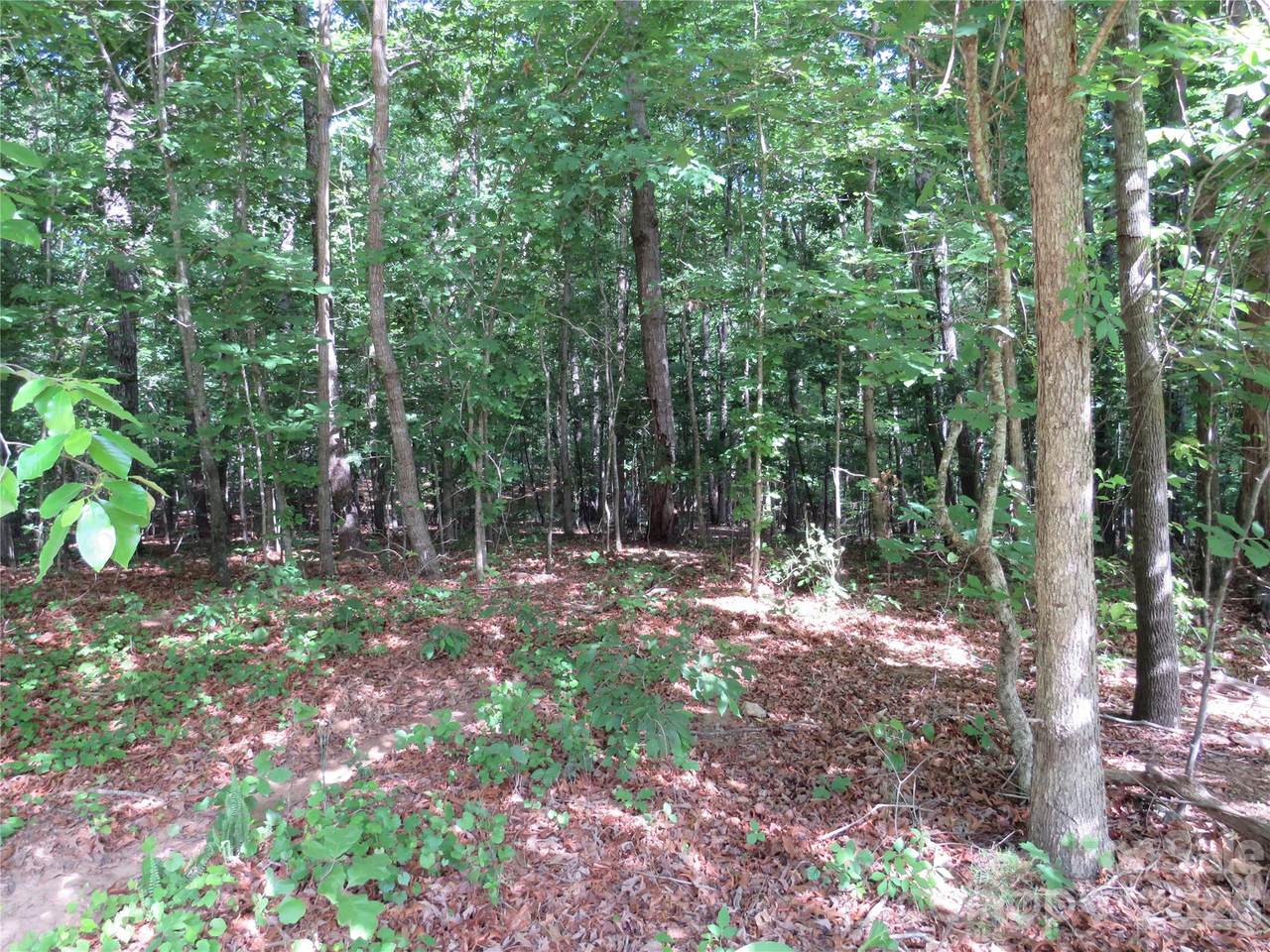 0 Woodleaf Road - Photo 1