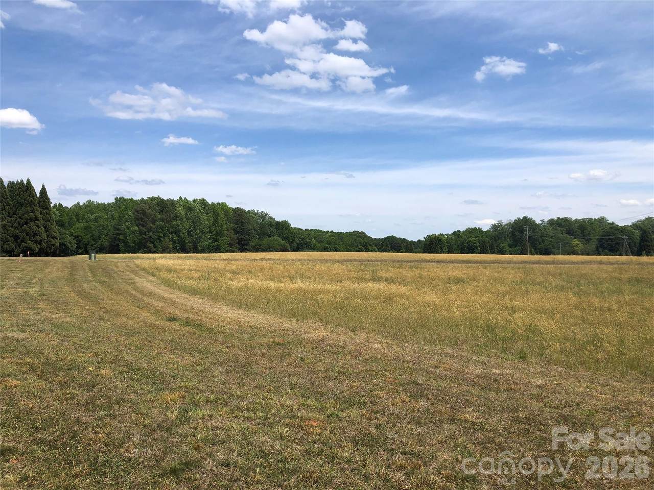 15904 Oxer Road - Photo 1