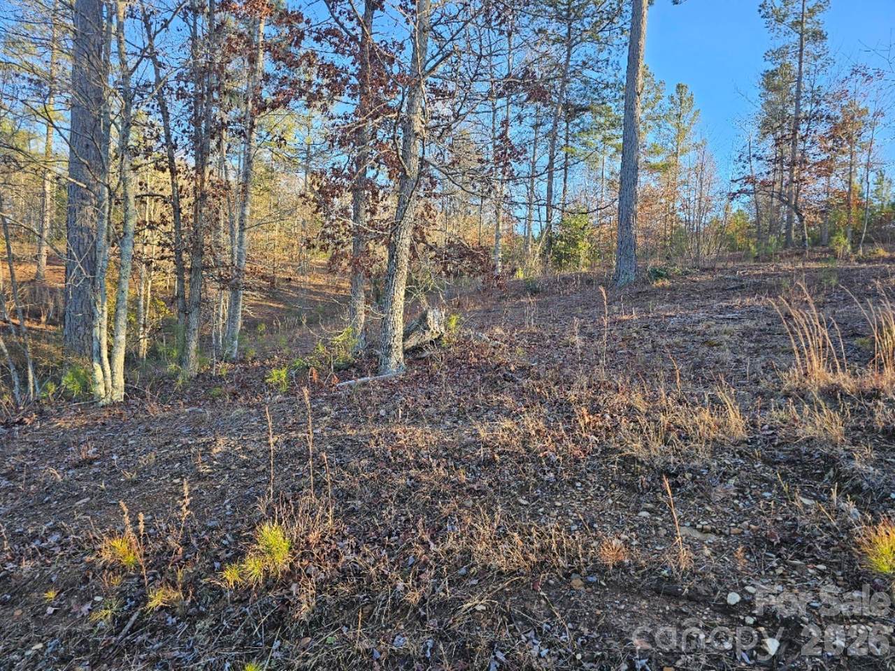 2167 Inlet Shore Road - Photo 1