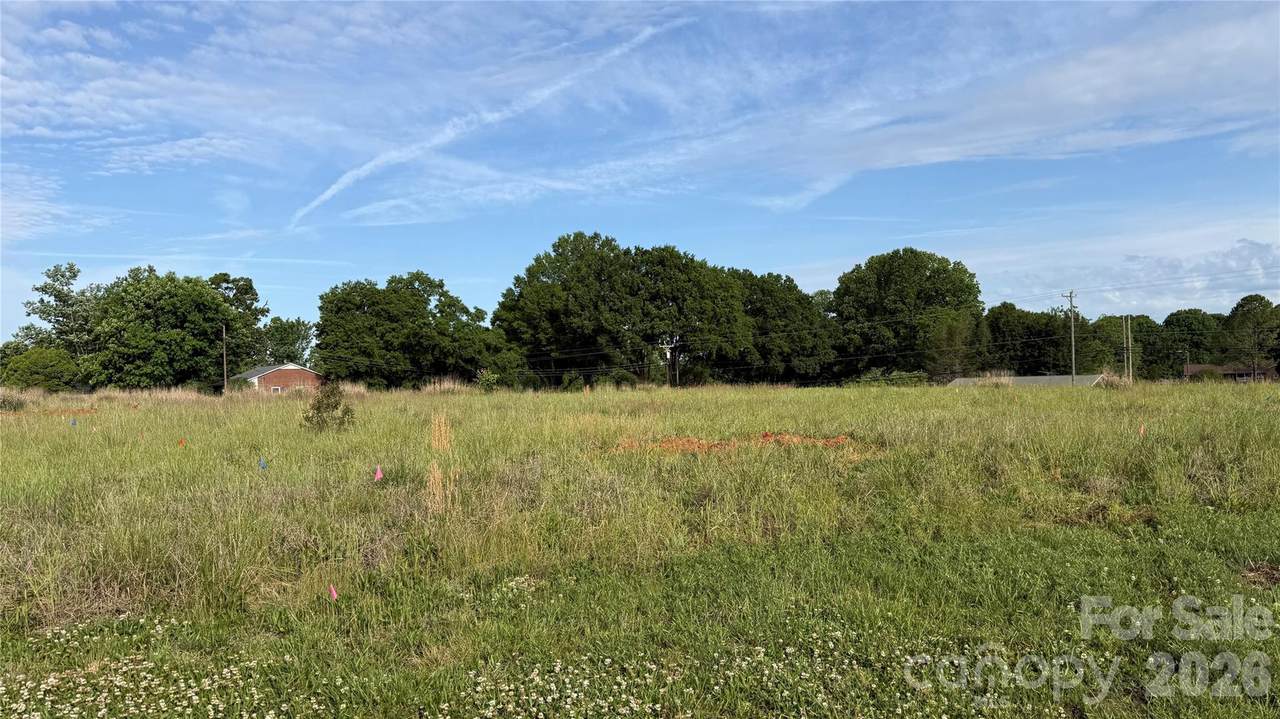 TBD Caleb Setzer Road - Photo 1