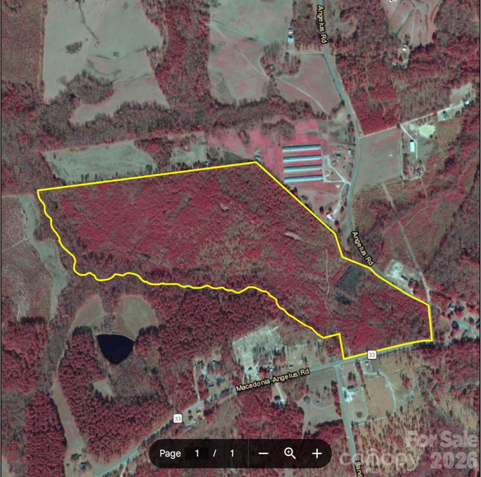 2713 Macedonia Angelus Road - Photo 1