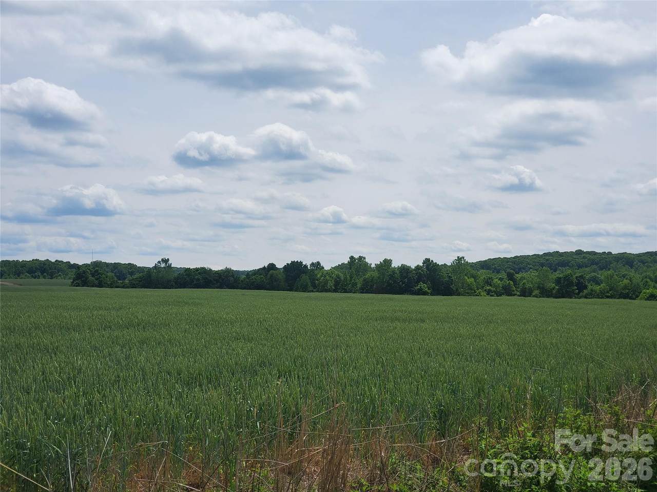 https://bt-photos.global.ssl.fastly.net/cmls/1280_boomver_1_4378586-1.jpg