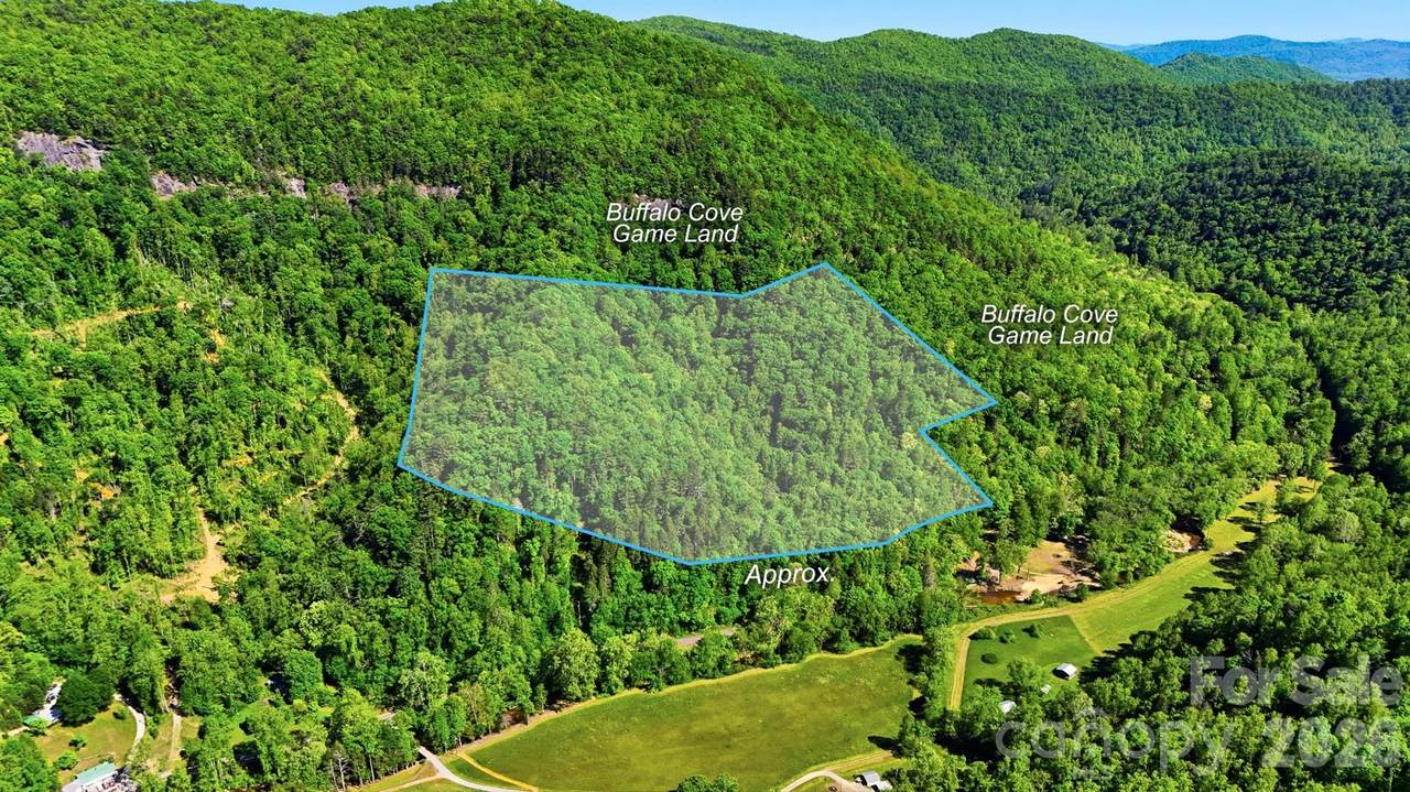 0 Buffalo Cove Road - Photo 1