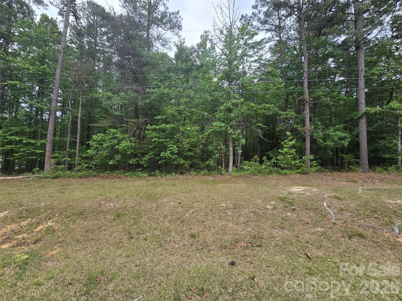 TBD Troy Candor Road - Photo 1