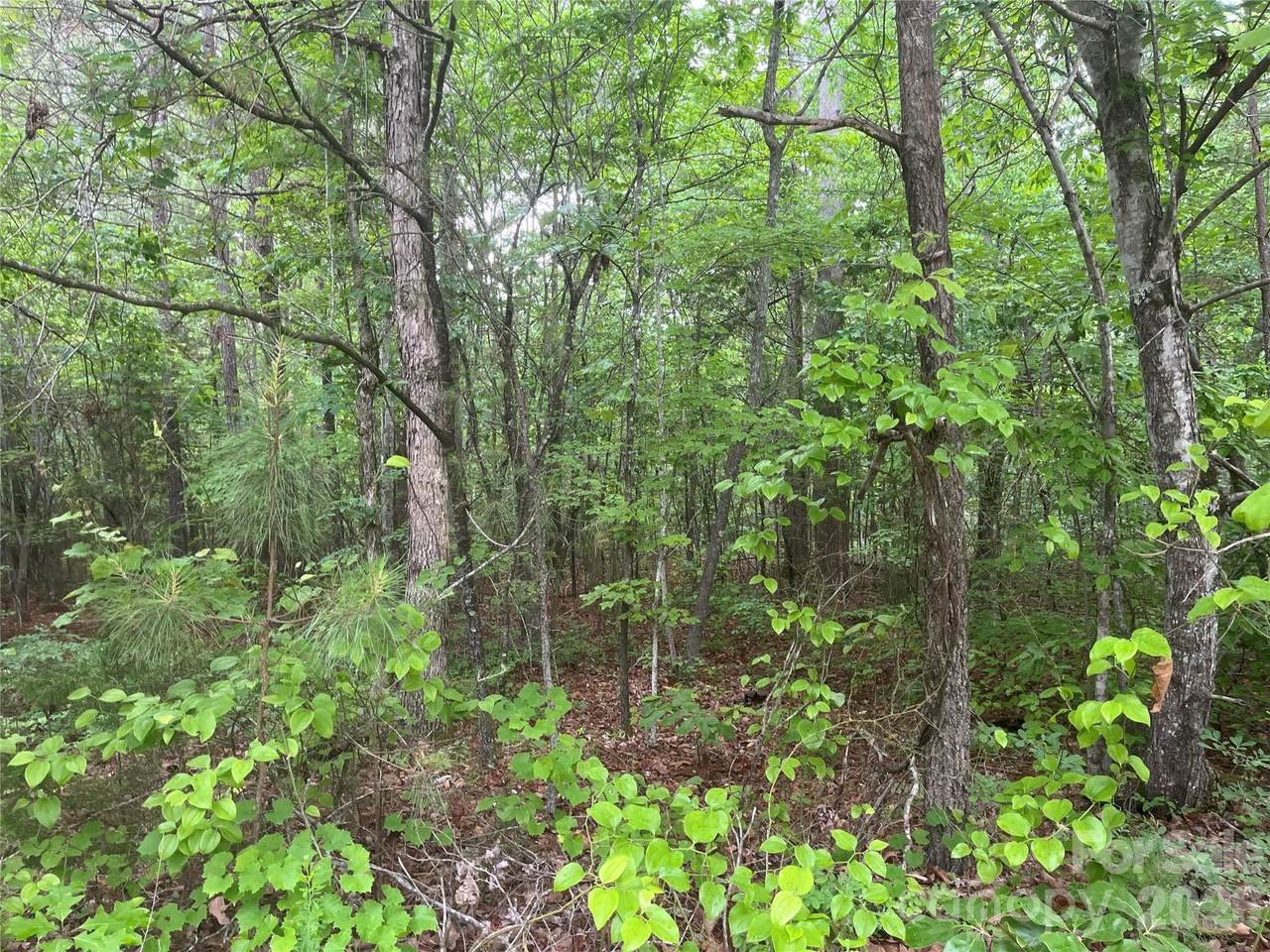2426 Ore Bank Road - Photo 1