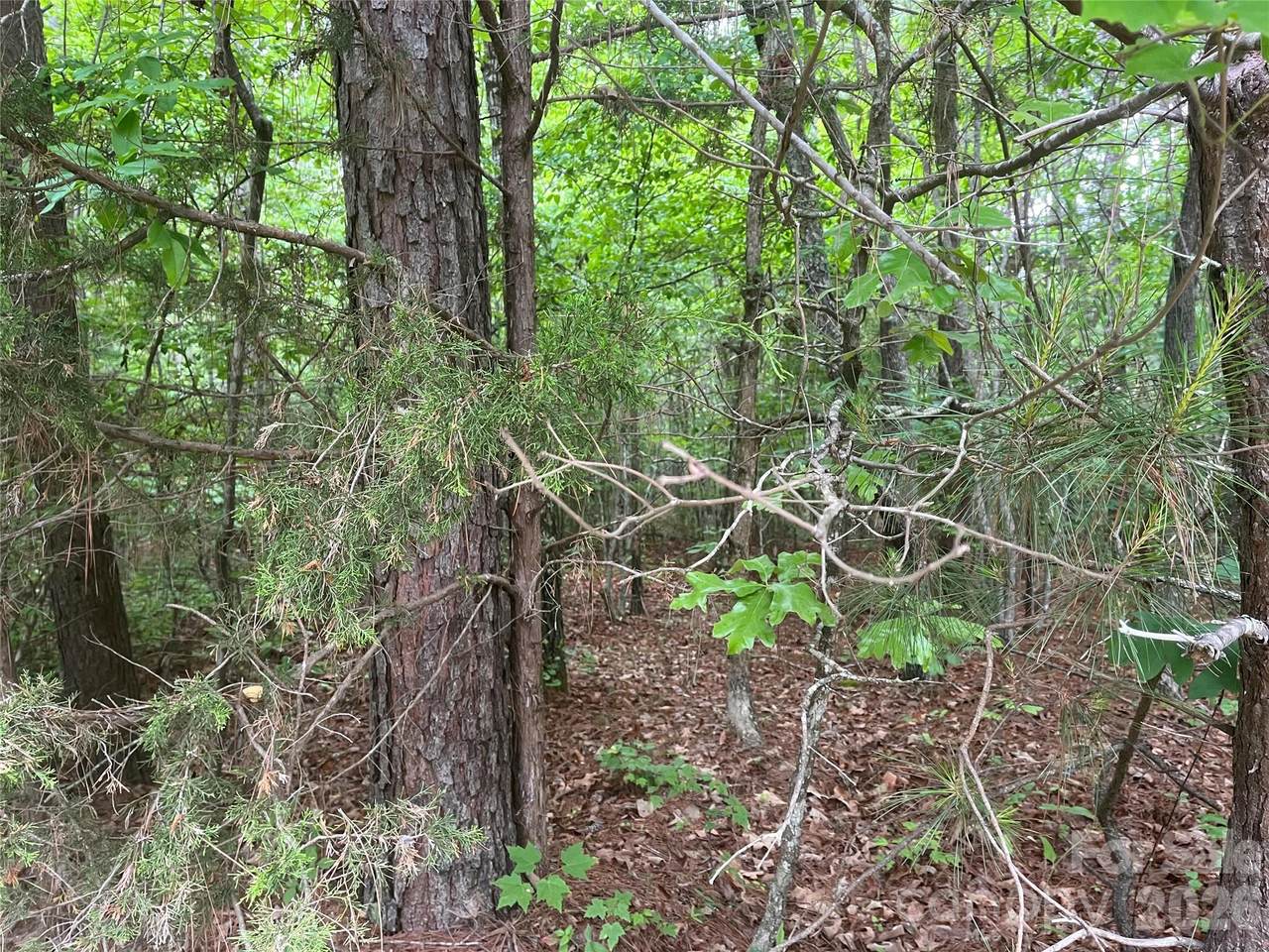 https://bt-photos.global.ssl.fastly.net/cmls/1280_boomver_1_4380035-1.jpg