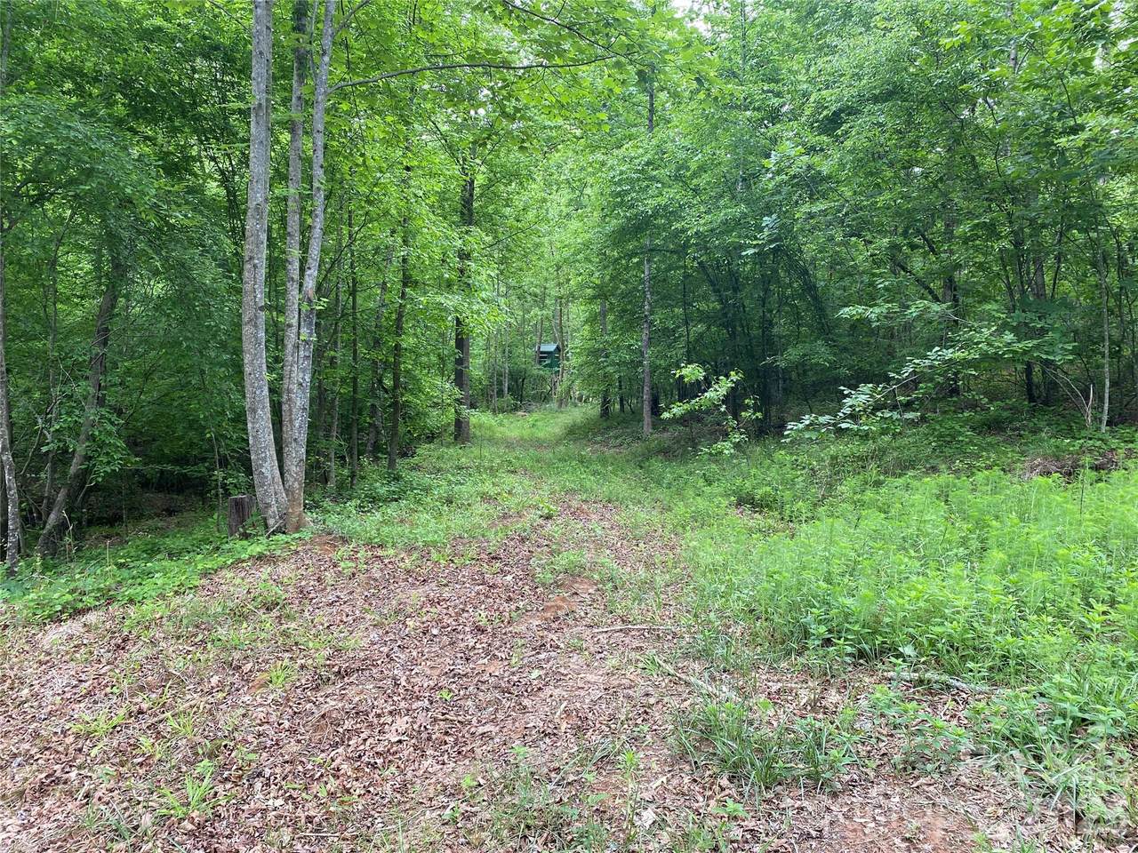 00 Kiser Road - Photo 1