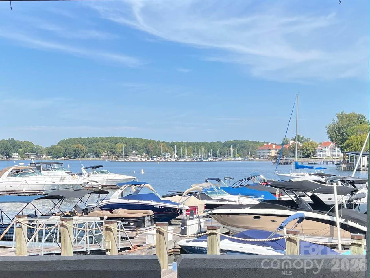 18629 Vineyard Point Lane - Photo 1