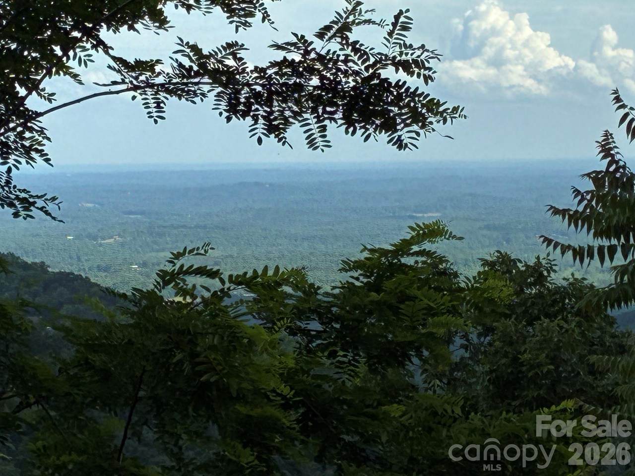 117 Devin Ridge Lane - Photo 1