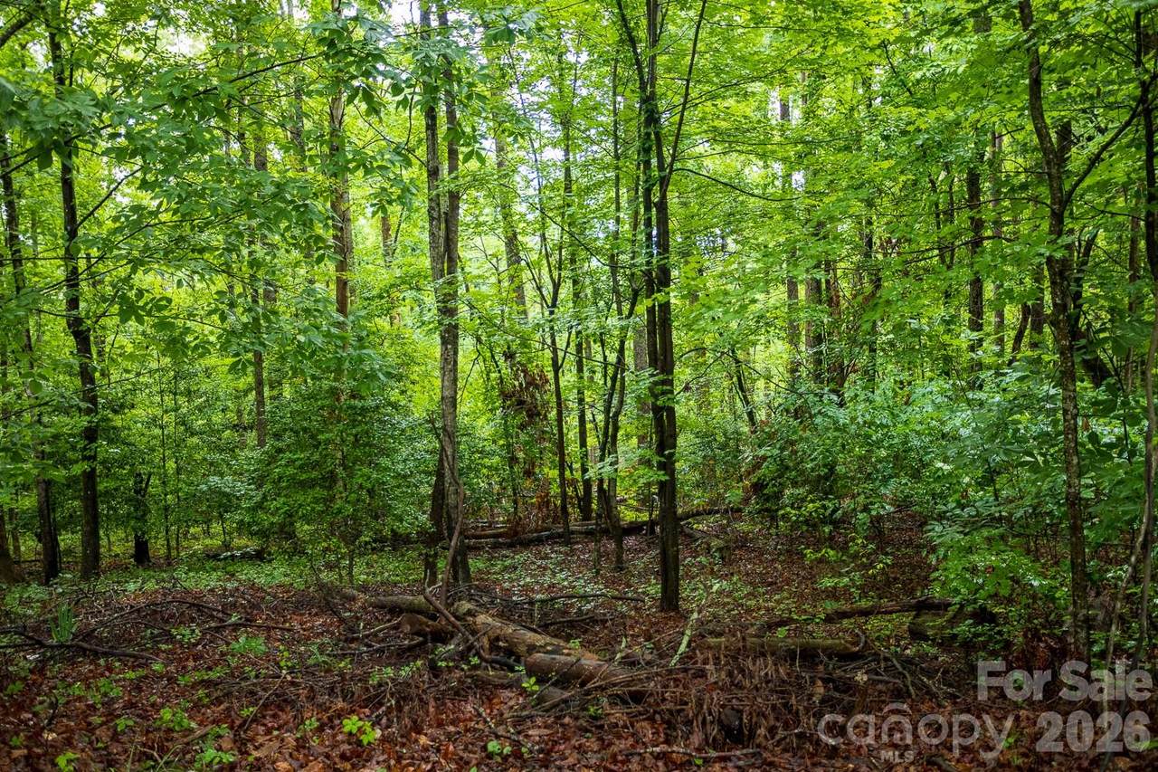 https://bt-photos.global.ssl.fastly.net/cmls/1280_boomver_1_4386364-1.jpg
