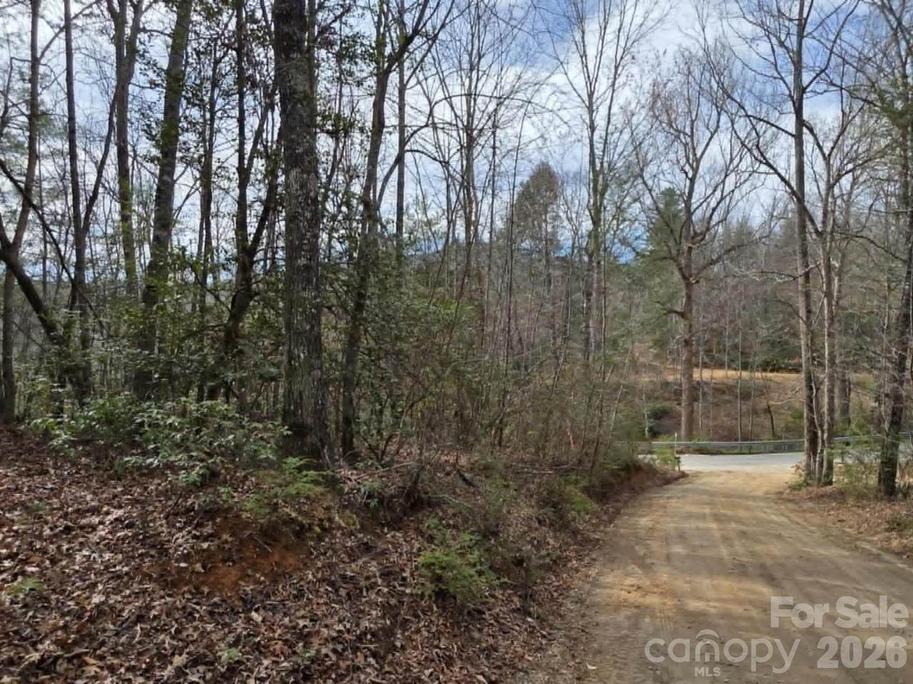 Lot 1 Kerlee Lane - Photo 1
