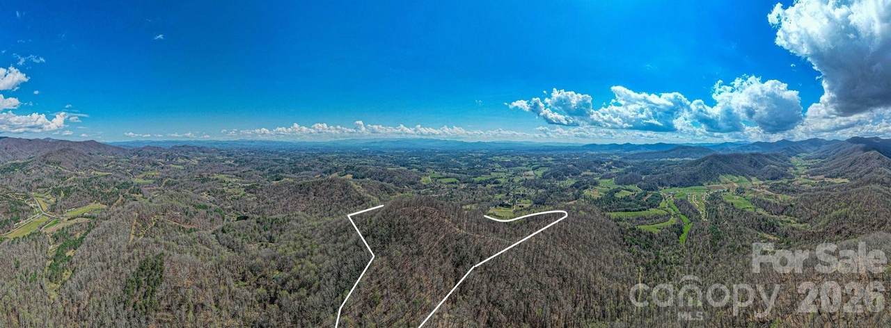 9999 Sandy Mush Creek Road - Photo 1