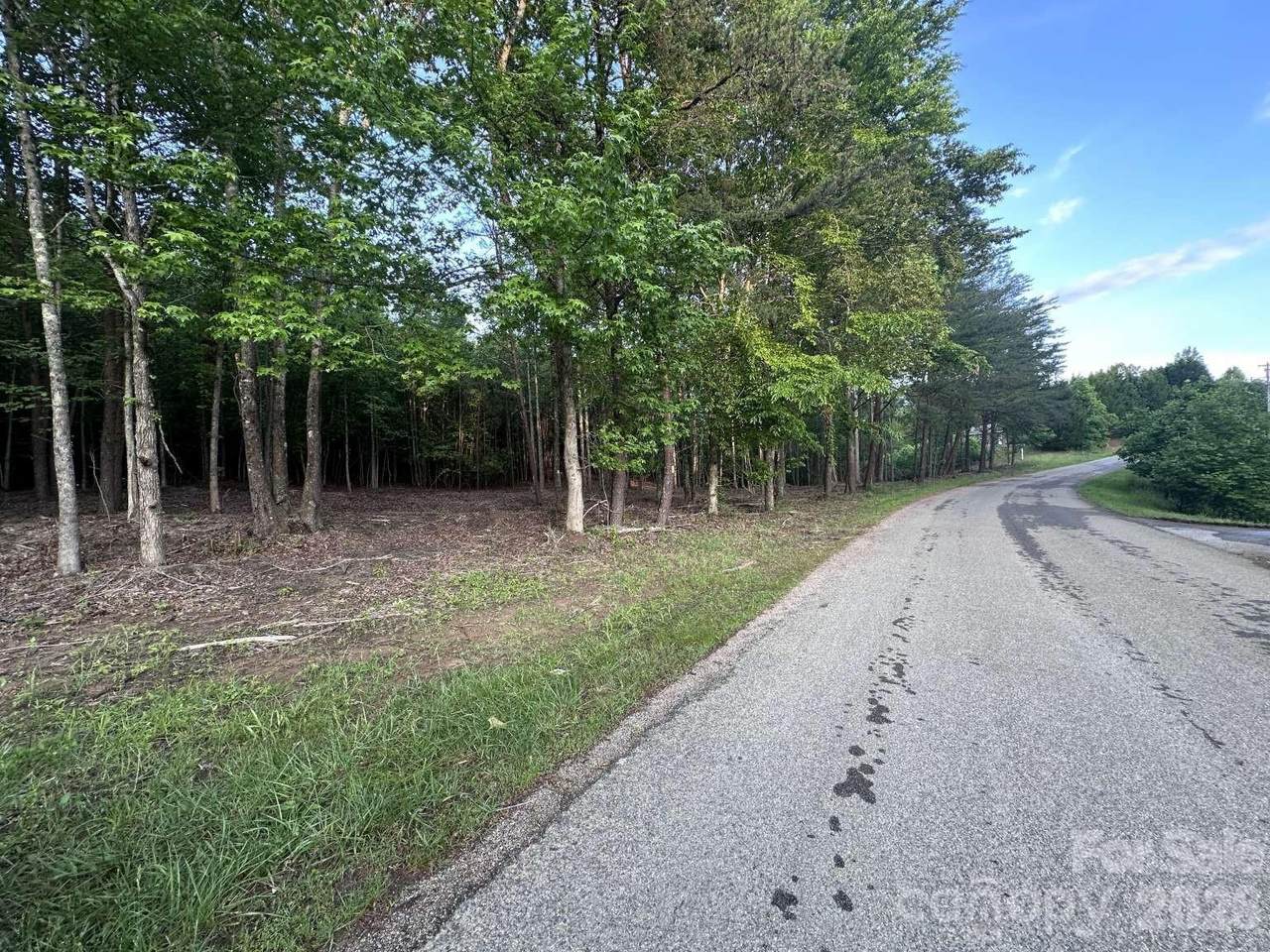 0 Howard Arnett Road - Photo 1