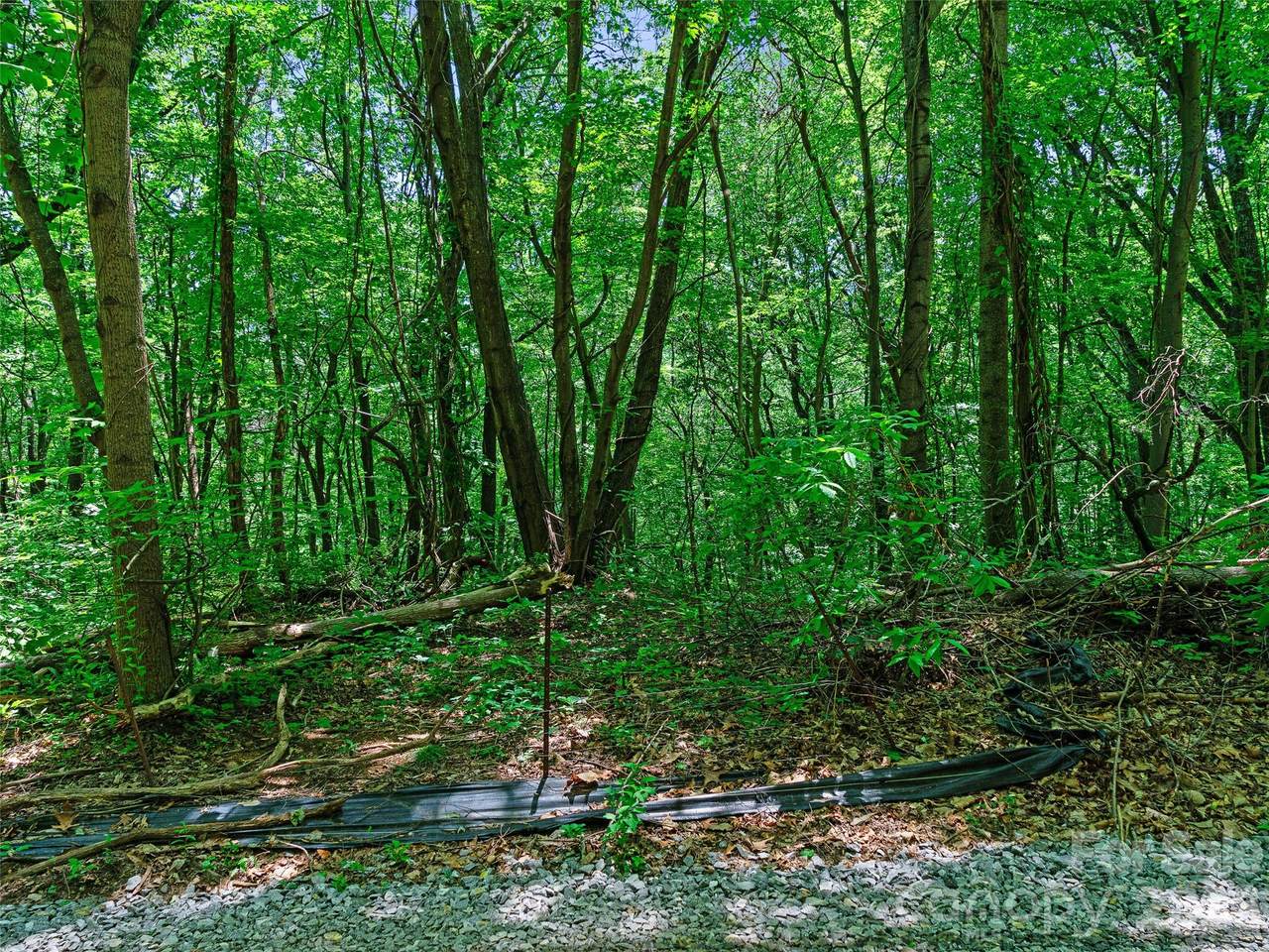 https://bt-photos.global.ssl.fastly.net/cmls/1280_boomver_1_4391997-1.jpg