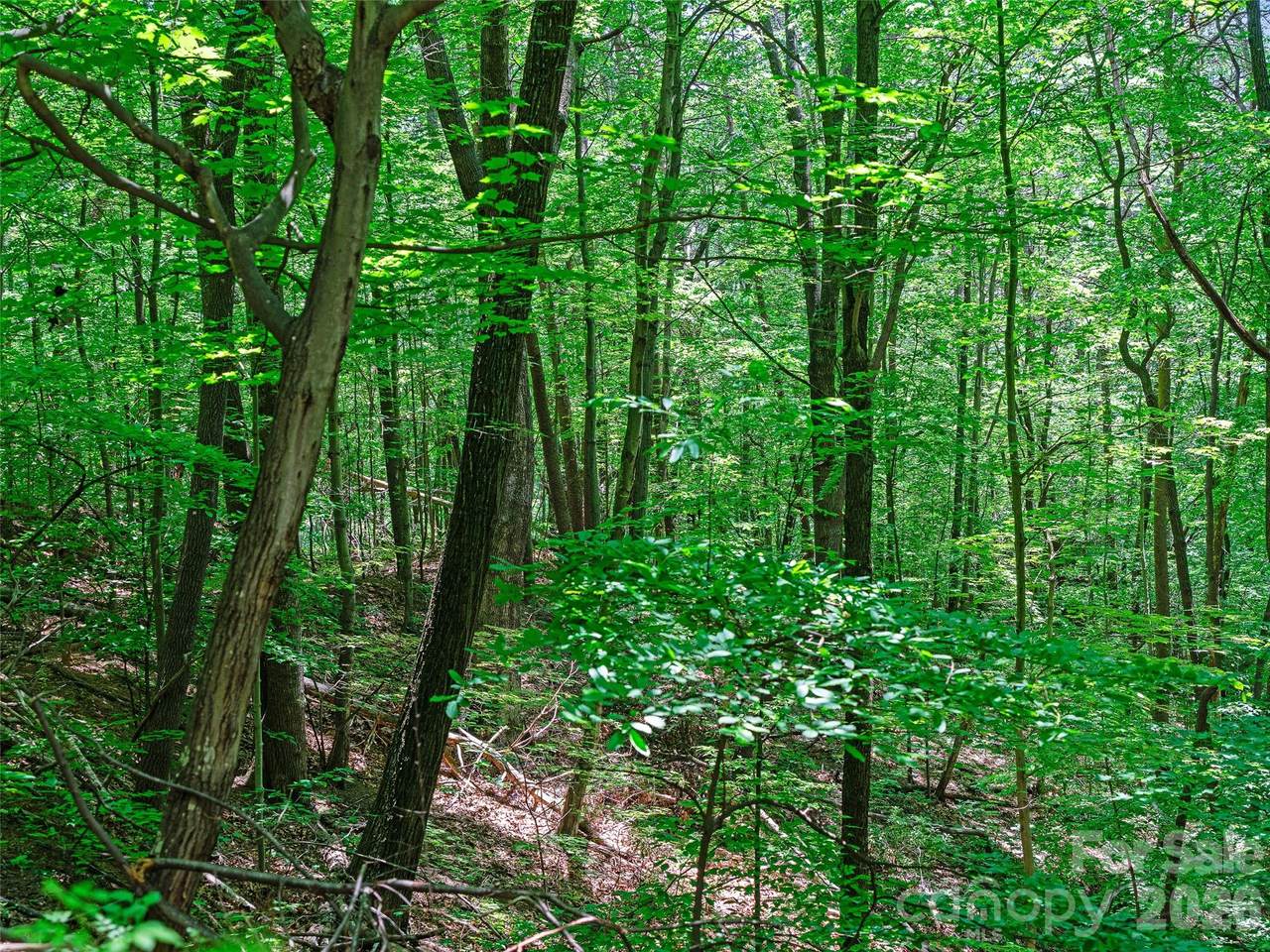 https://bt-photos.global.ssl.fastly.net/cmls/1280_boomver_1_4391997-1.jpg