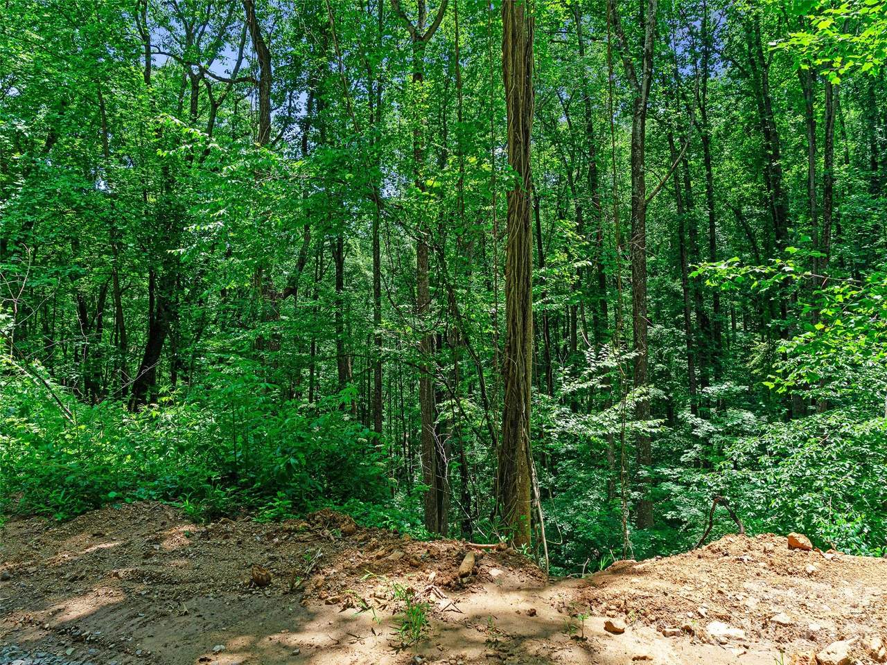 https://bt-photos.global.ssl.fastly.net/cmls/1280_boomver_1_4392011-1.jpg
