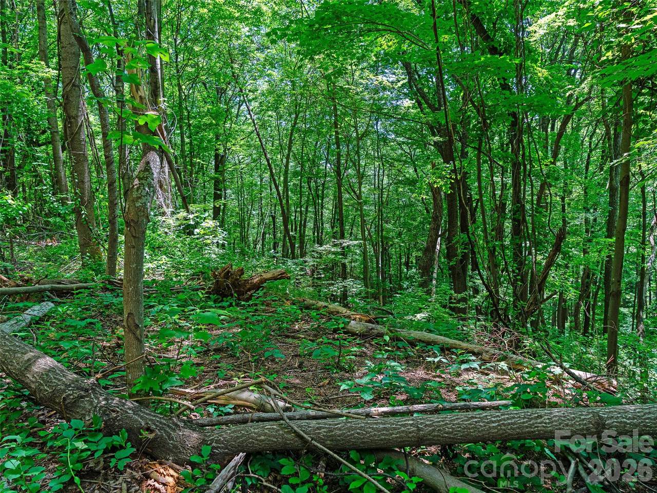 https://bt-photos.global.ssl.fastly.net/cmls/1280_boomver_1_4392038-1.jpg