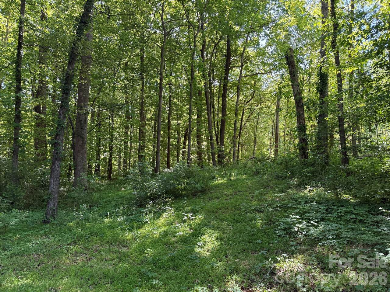 https://bt-photos.global.ssl.fastly.net/cmls/1280_boomver_1_4392119-1.jpg
