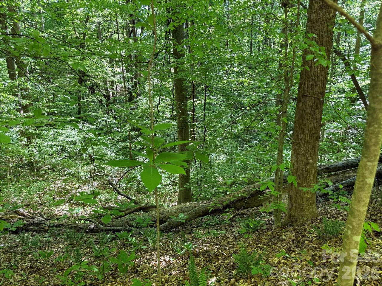 https://bt-photos.global.ssl.fastly.net/cmls/1280_boomver_1_4392119-1.jpg