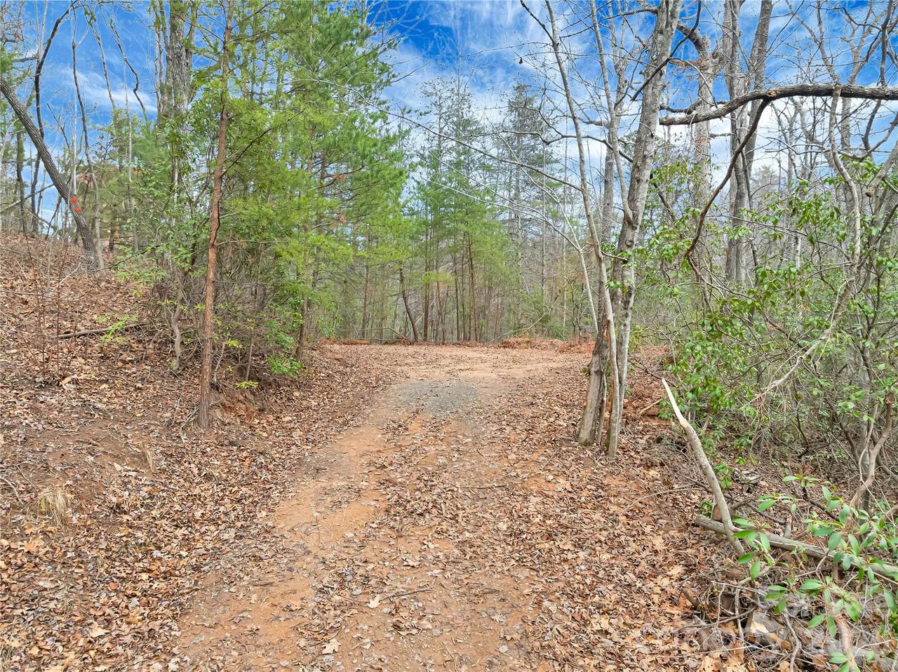 TBD Deep Woods Lane - Photo 1