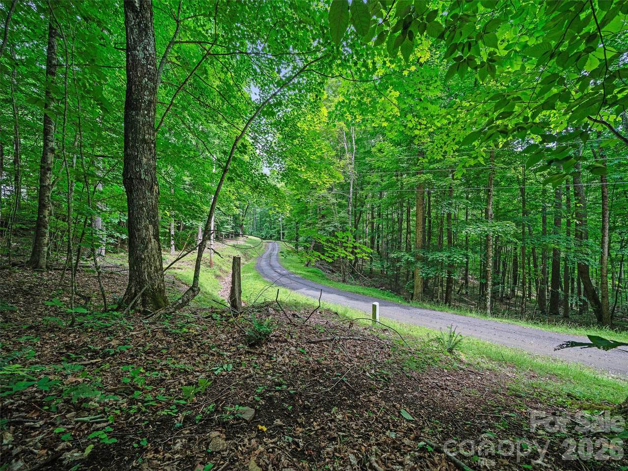 000 Shadow Moss Drive - Photo 1