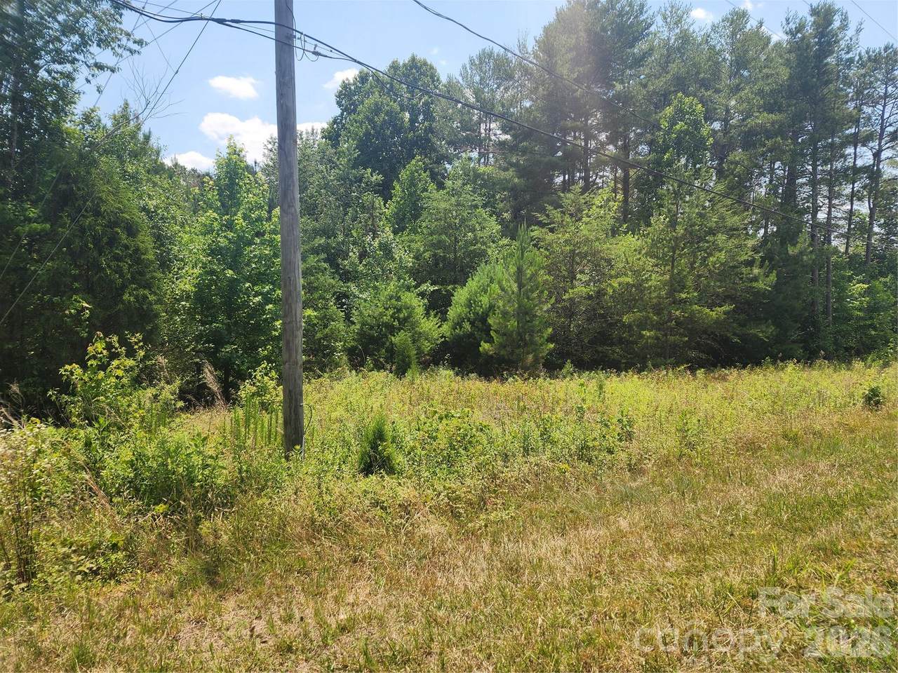 0000 Hickory Highway - Photo 1