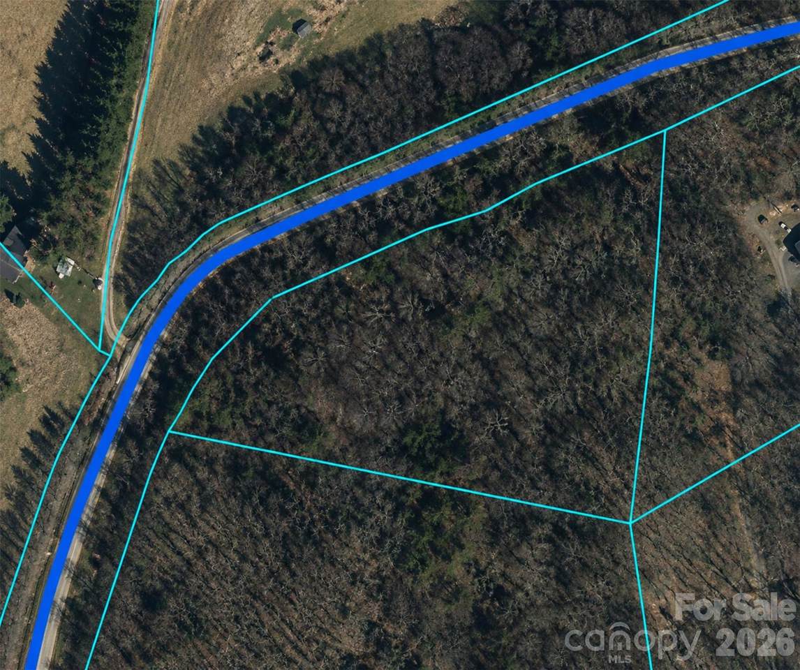 0 Clarks Branch Road - Photo 1